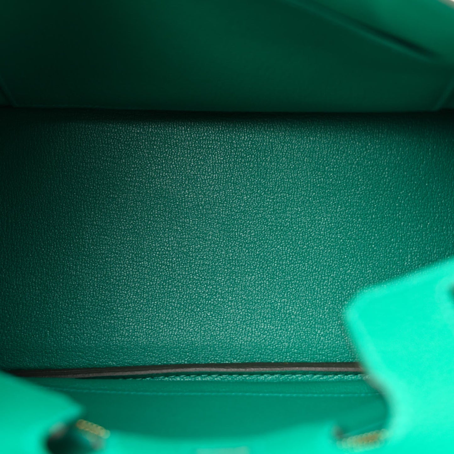 Togo Birkin 25 Vert Vertigo