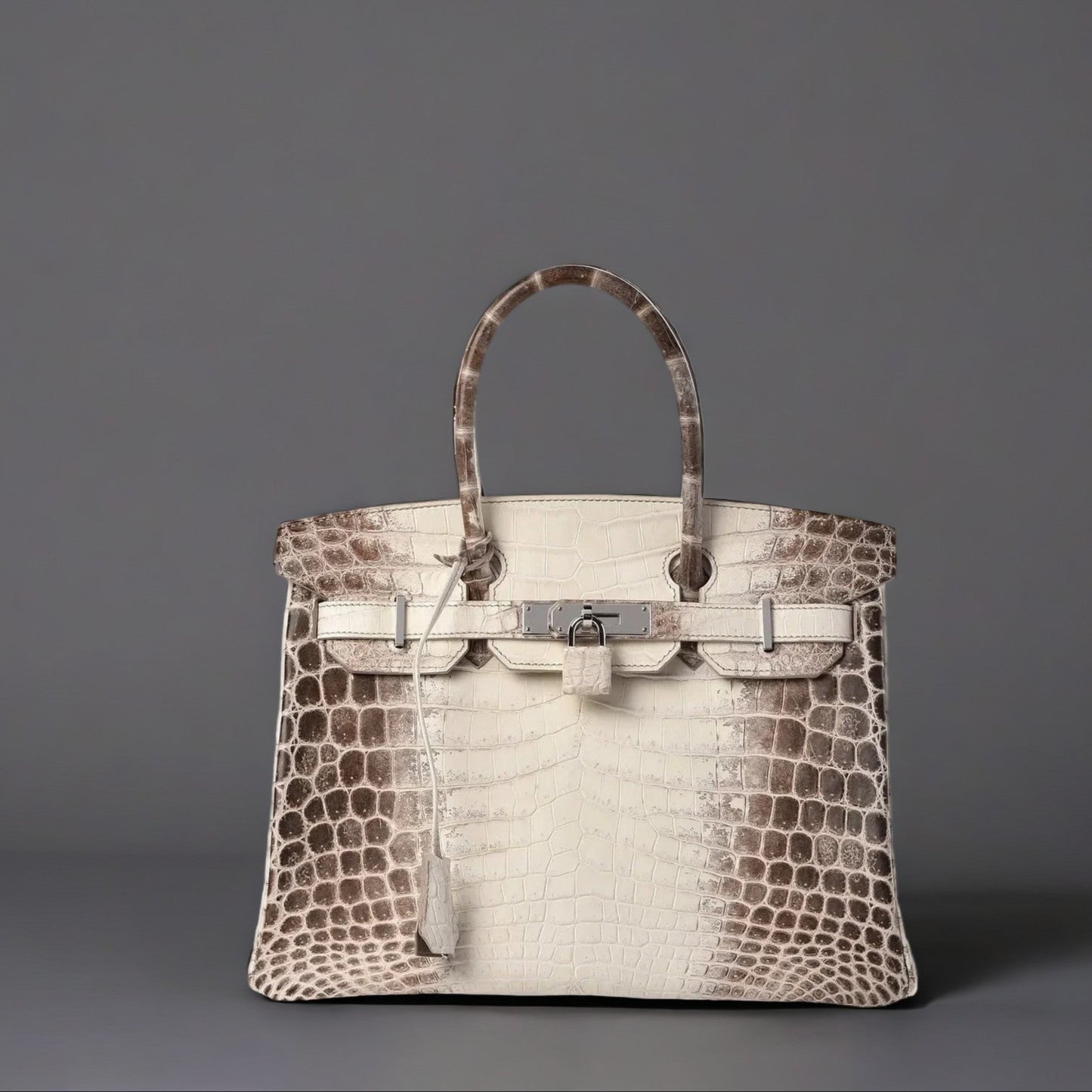 Matte Niloticus Crocodile Himalaya Birkin 30 Blanc