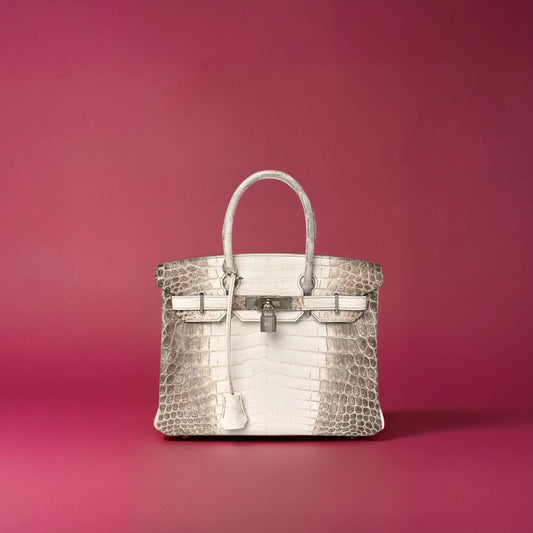 Matte Niloticus Crocodile Himalaya Birkin 30 Blanc