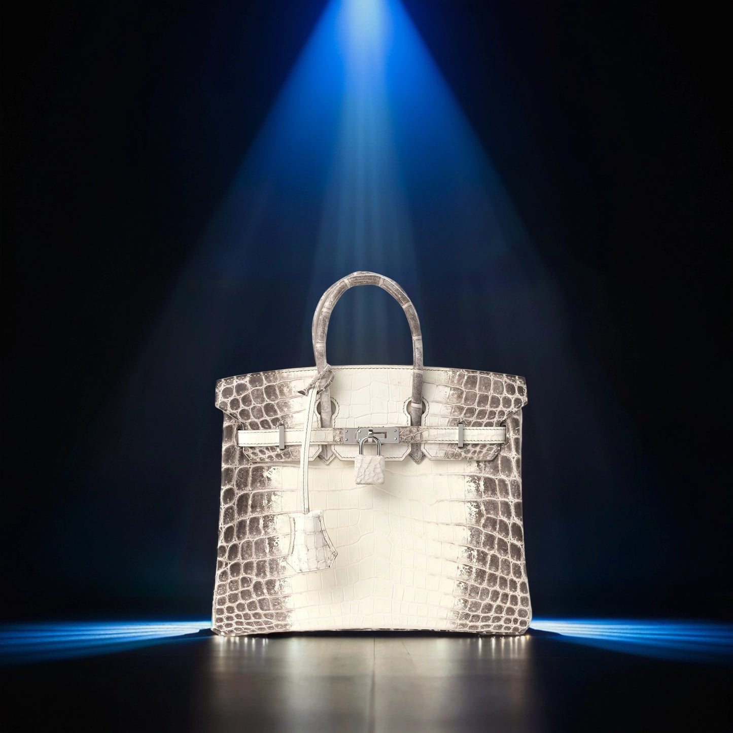 Matte Niloticus Crocodile Himalaya Birkin 25 Blanc