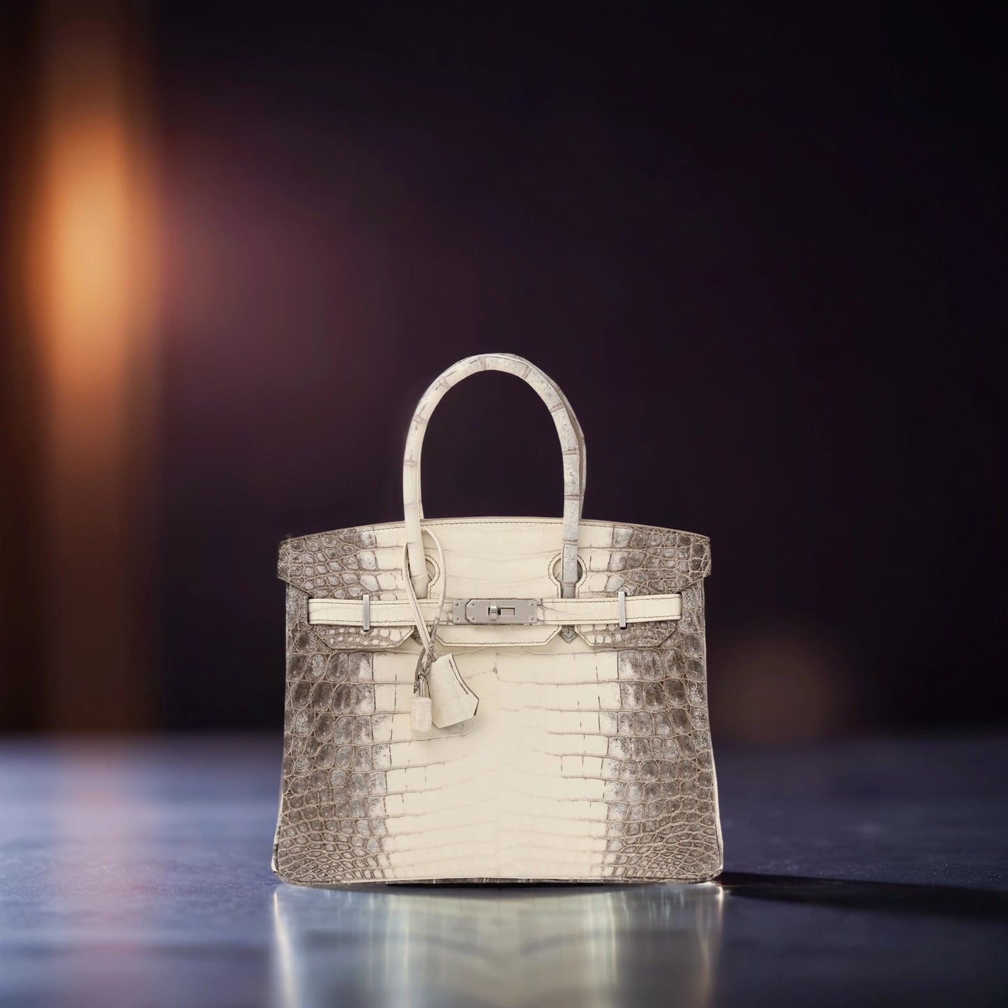 Matte Niloticus Crocodile Himalaya Birkin 25 Blanc