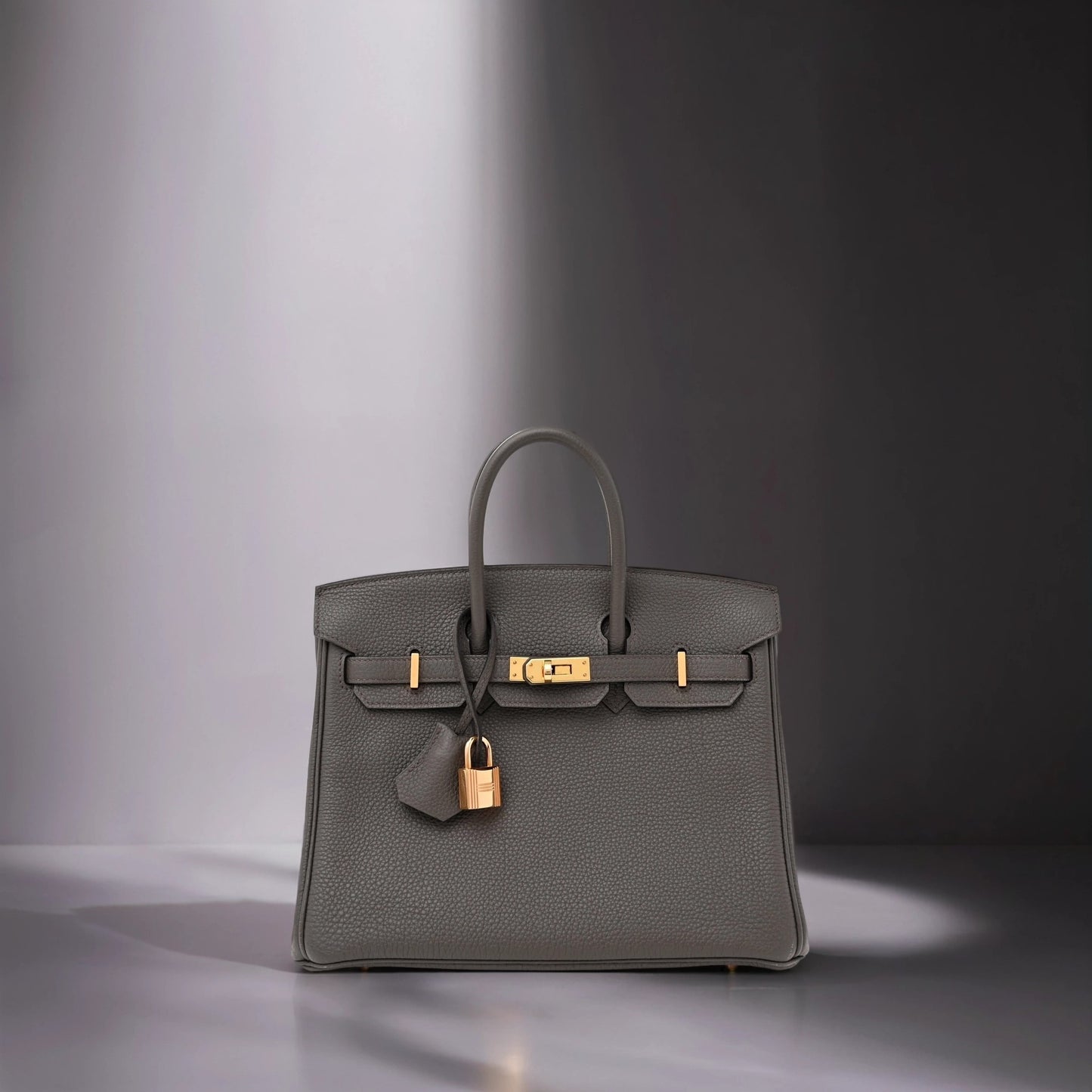Togo Birkin 25 Etain