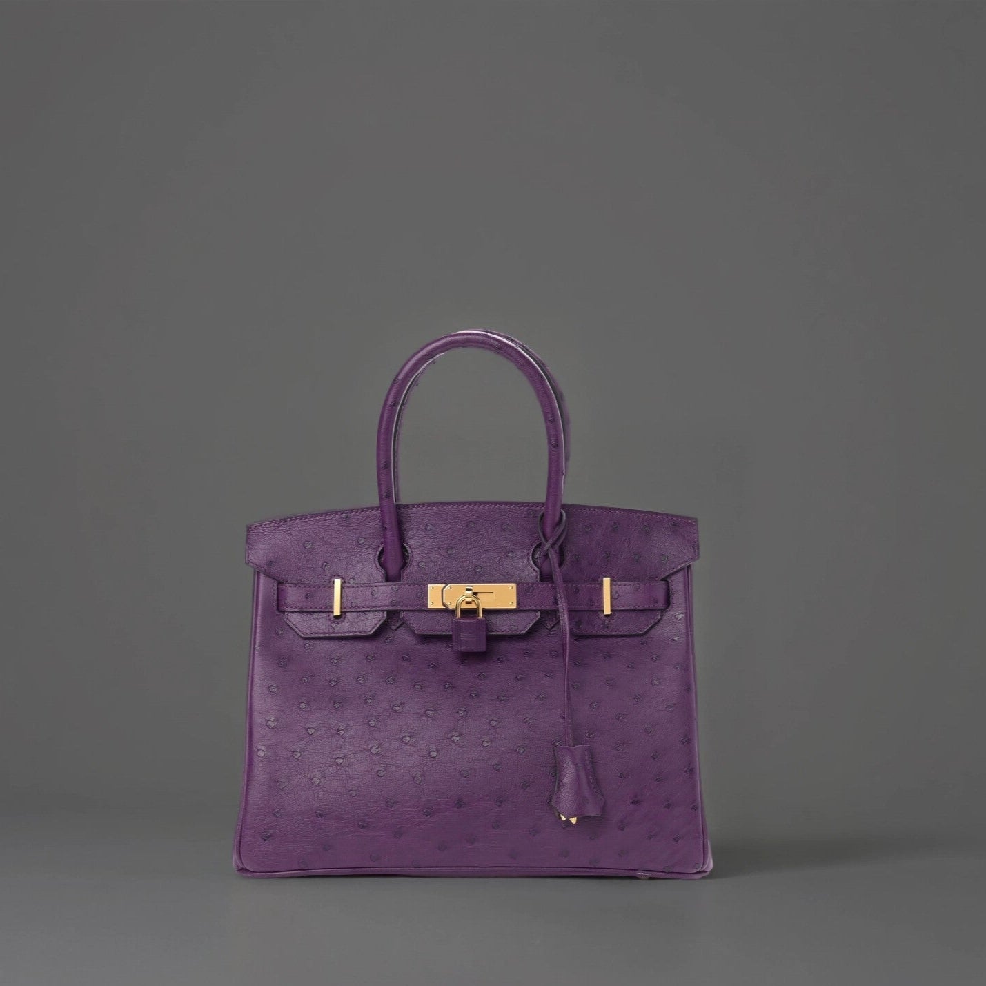 Ostrich Birkin 30 Violine
