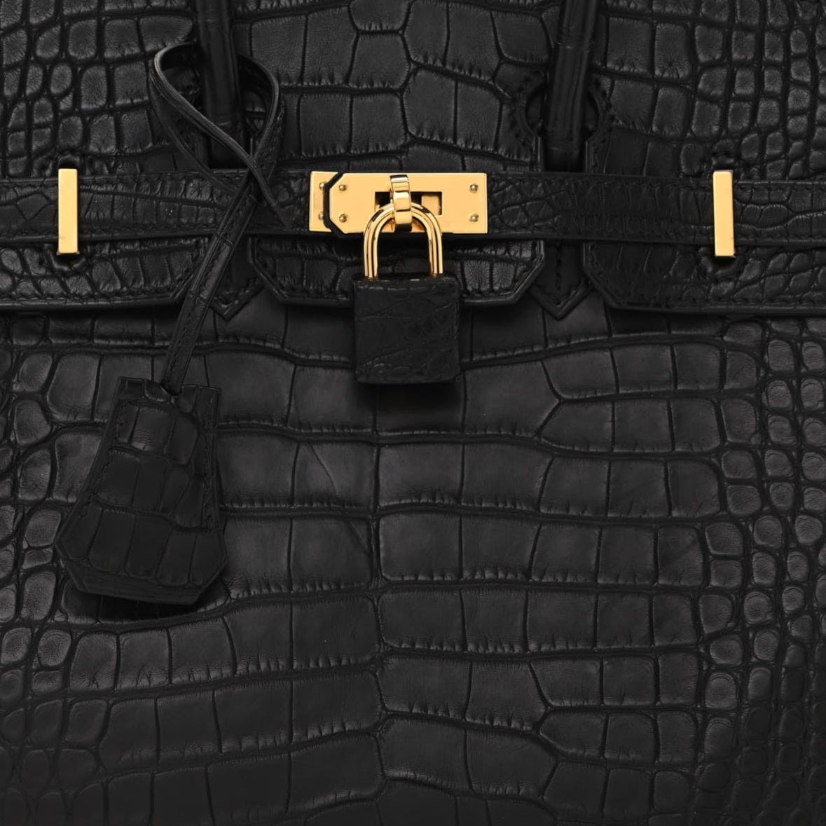 Matte Alligator Birkin 25 Black