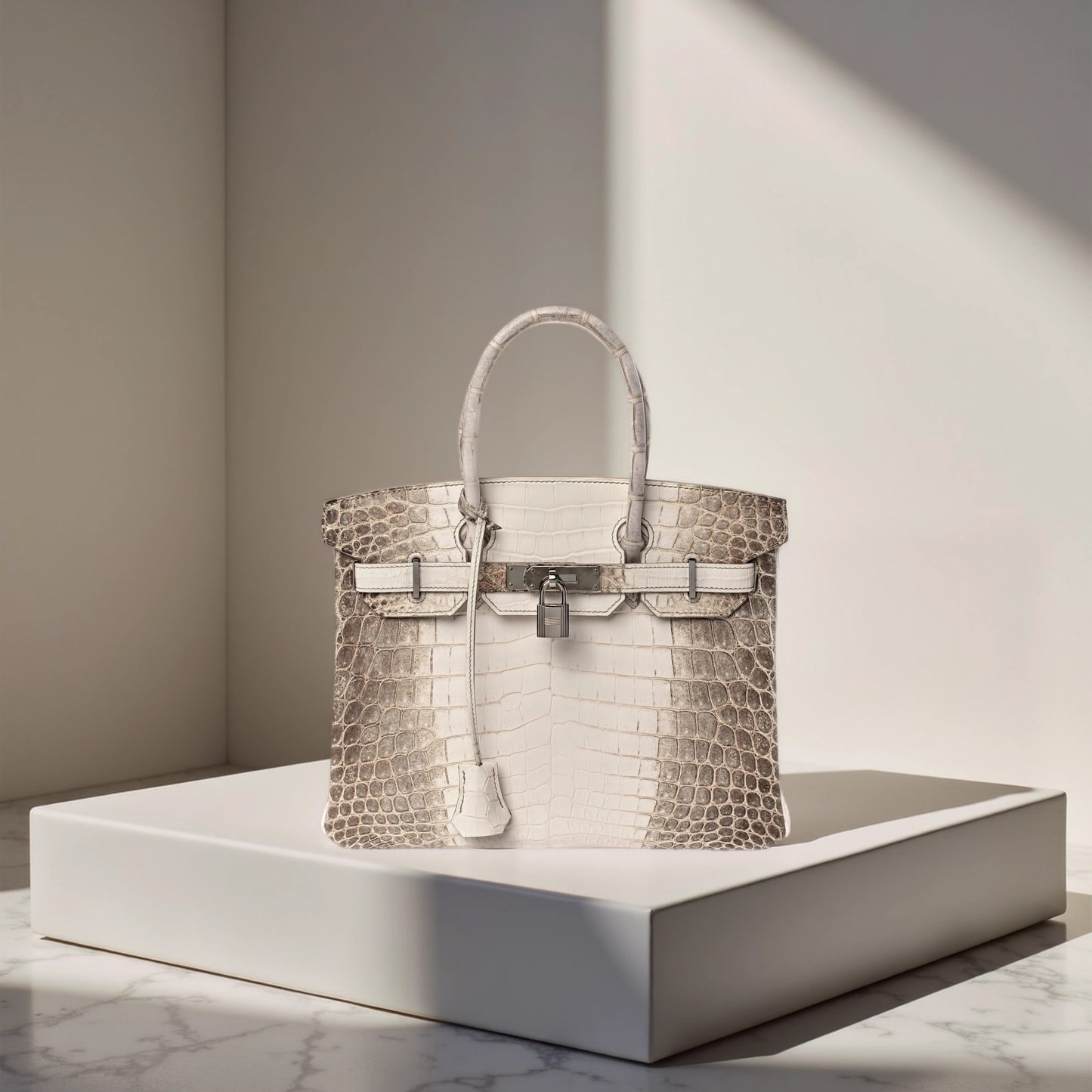 Matte Niloticus Crocodile Himalaya Birkin 30 Blanc