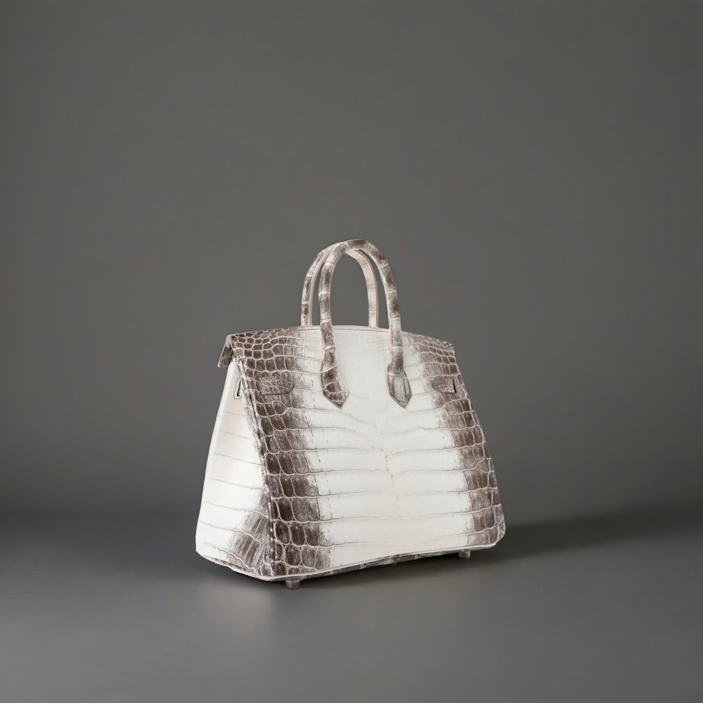 Matte Niloticus Crocodile Himalaya Birkin 25 Blanc