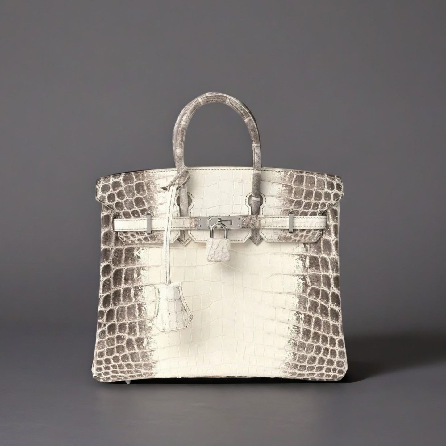 Matte Niloticus Crocodile Himalaya Birkin 25 Blanc