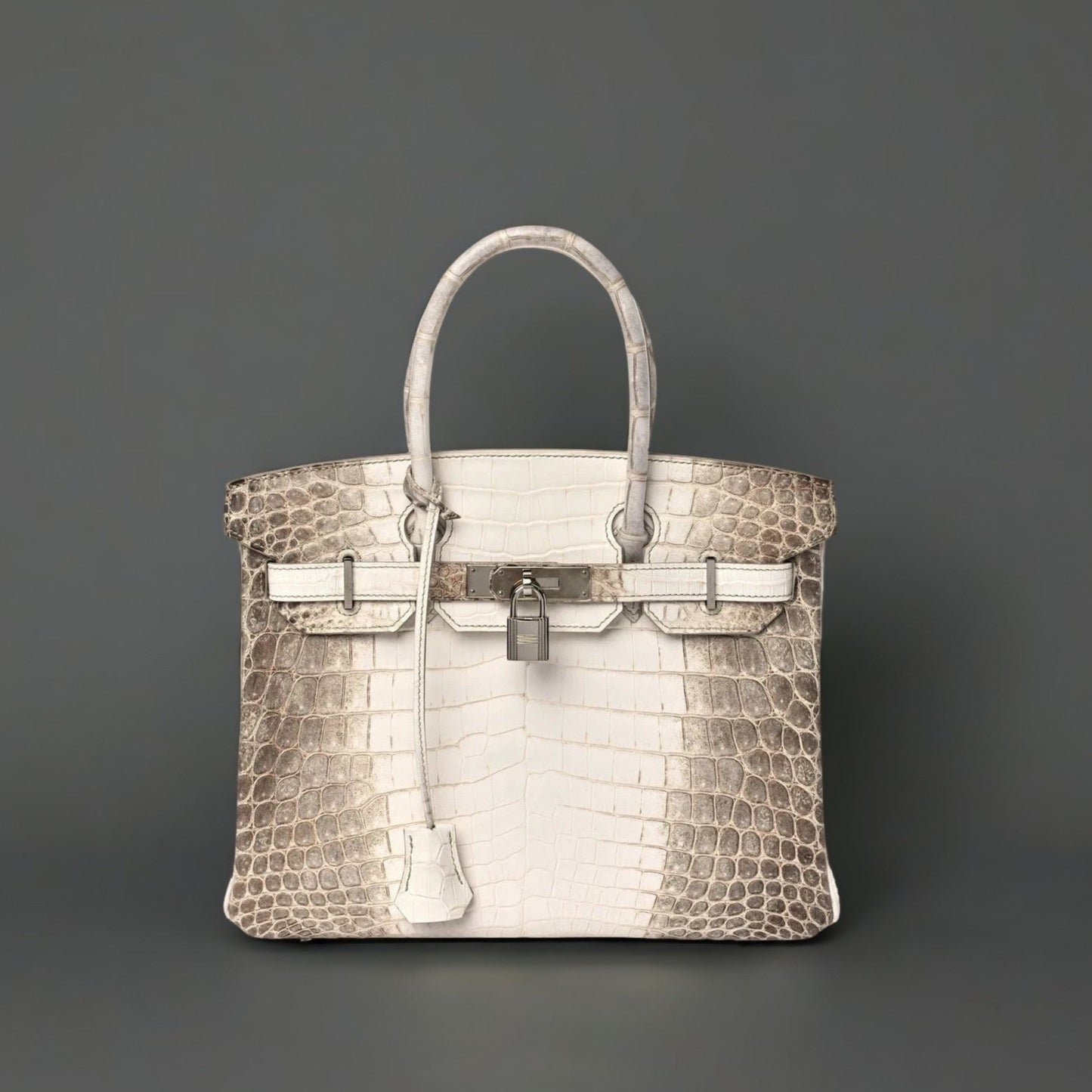Matte Niloticus Crocodile Himalaya Birkin 30 Blanc