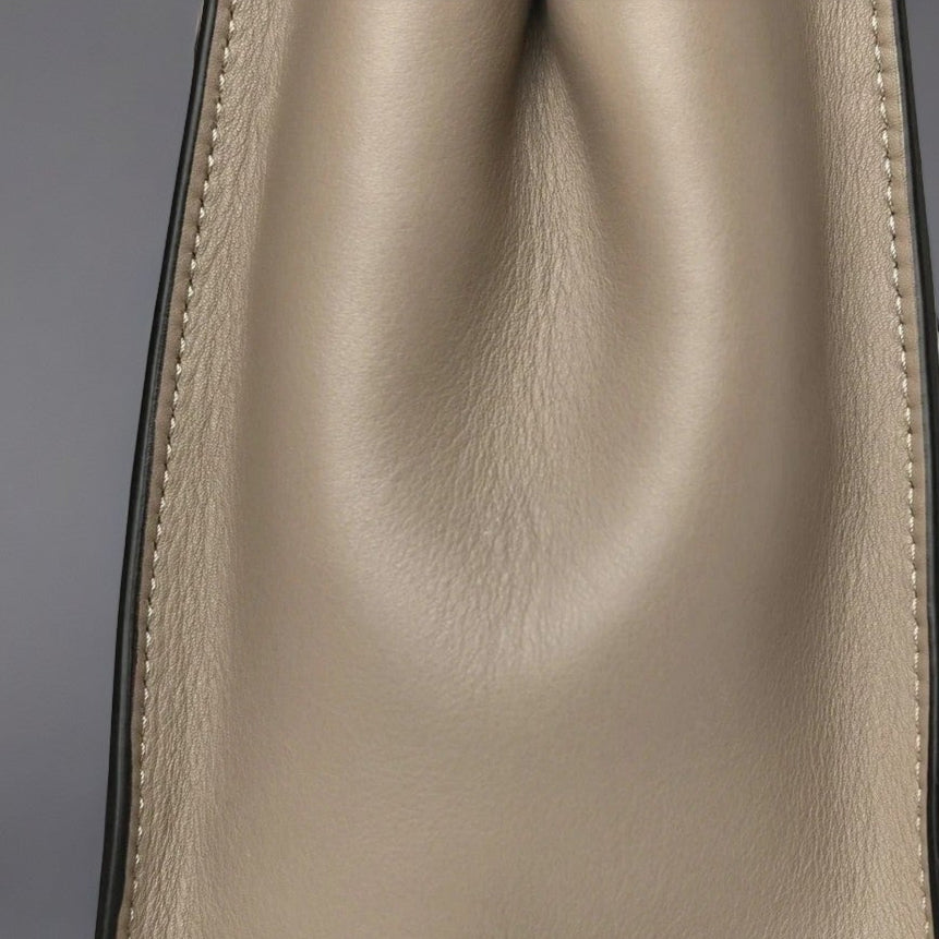 Silk Calfskin Plexi Tortoise Medium Peekaboo Iconic Satchel Dove