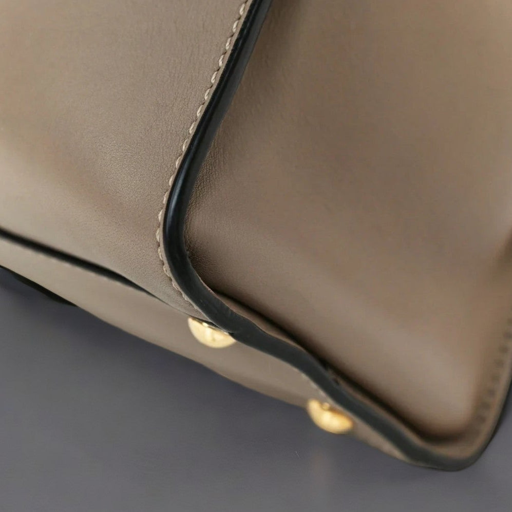 Silk Calfskin Plexi Tortoise Medium Peekaboo Iconic Satchel Dove