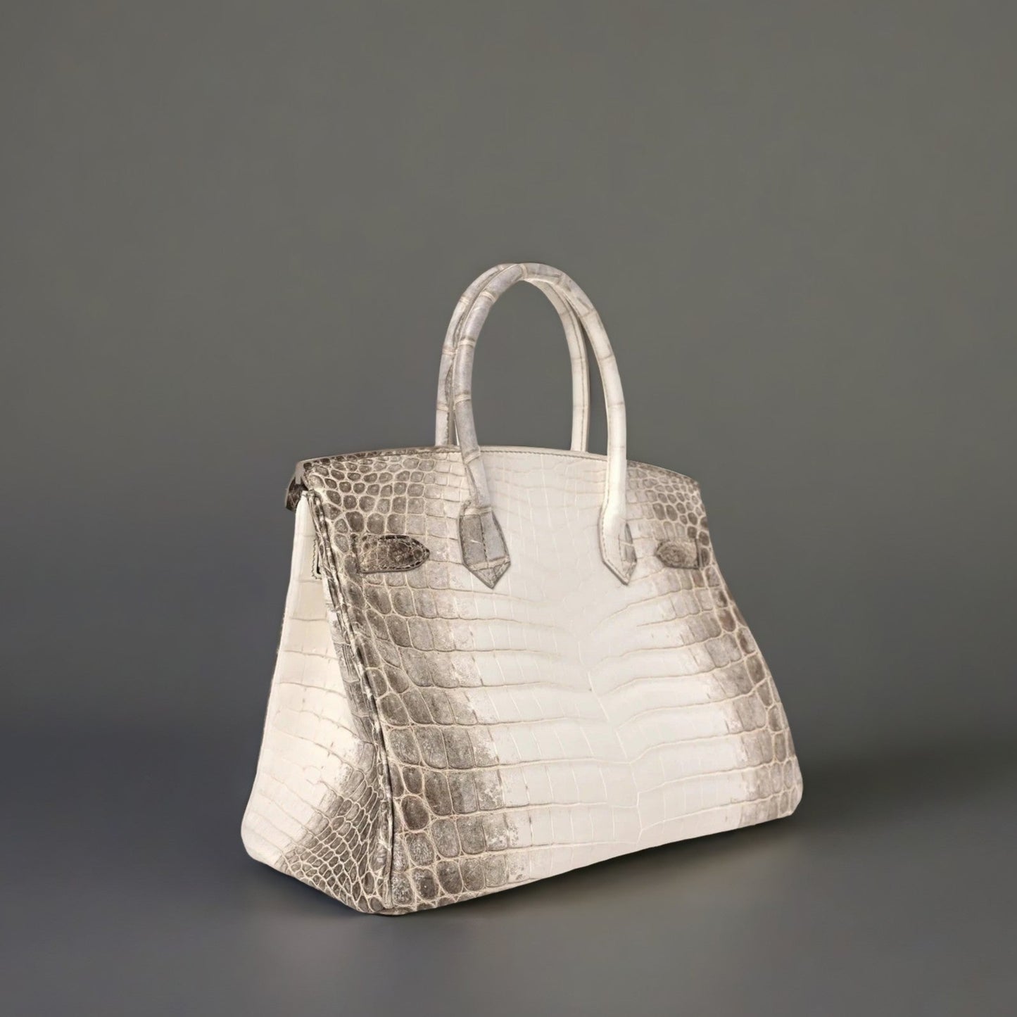 Matte Niloticus Crocodile Himalaya Birkin 30 Blanc