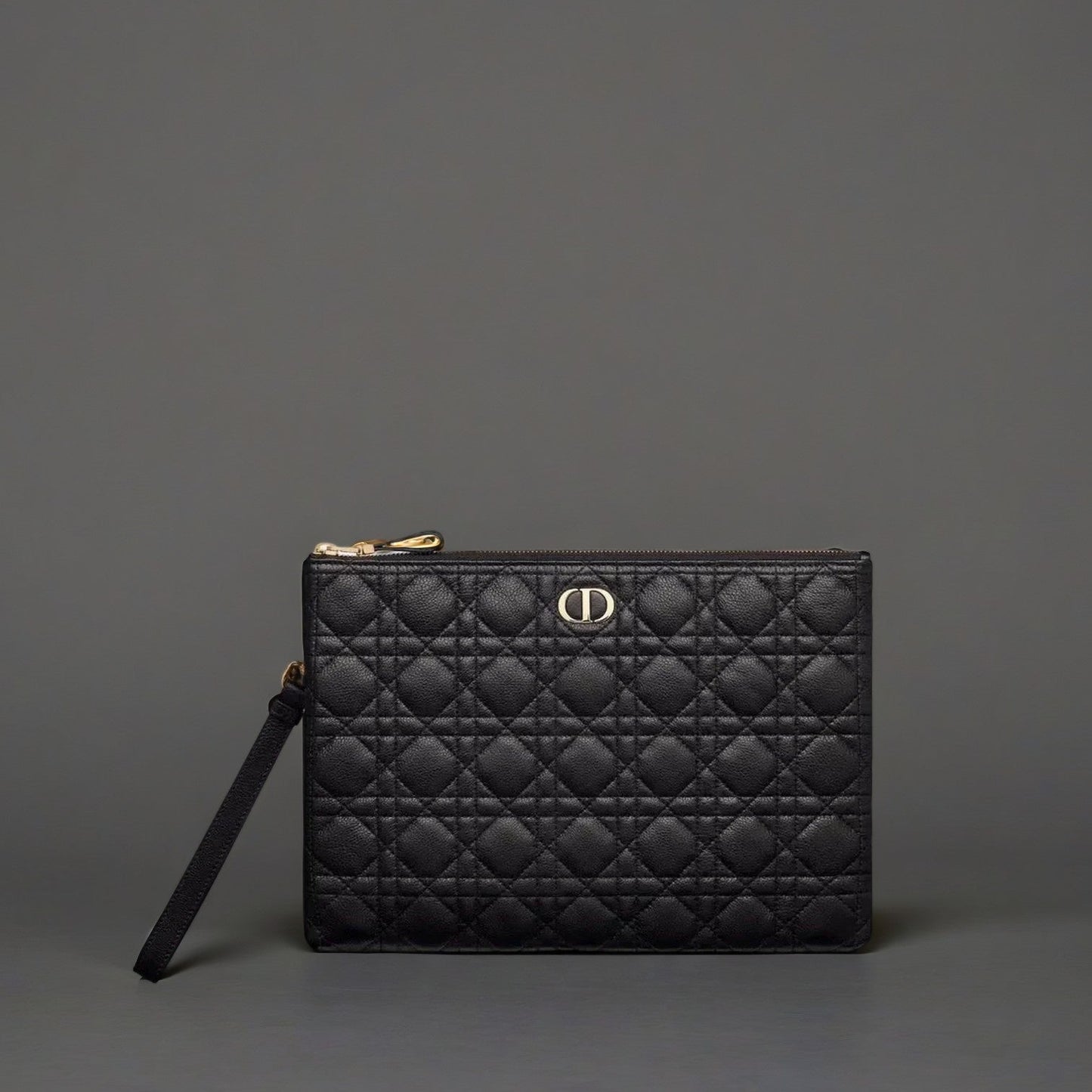 Large DIOR Caro Daily Pouch